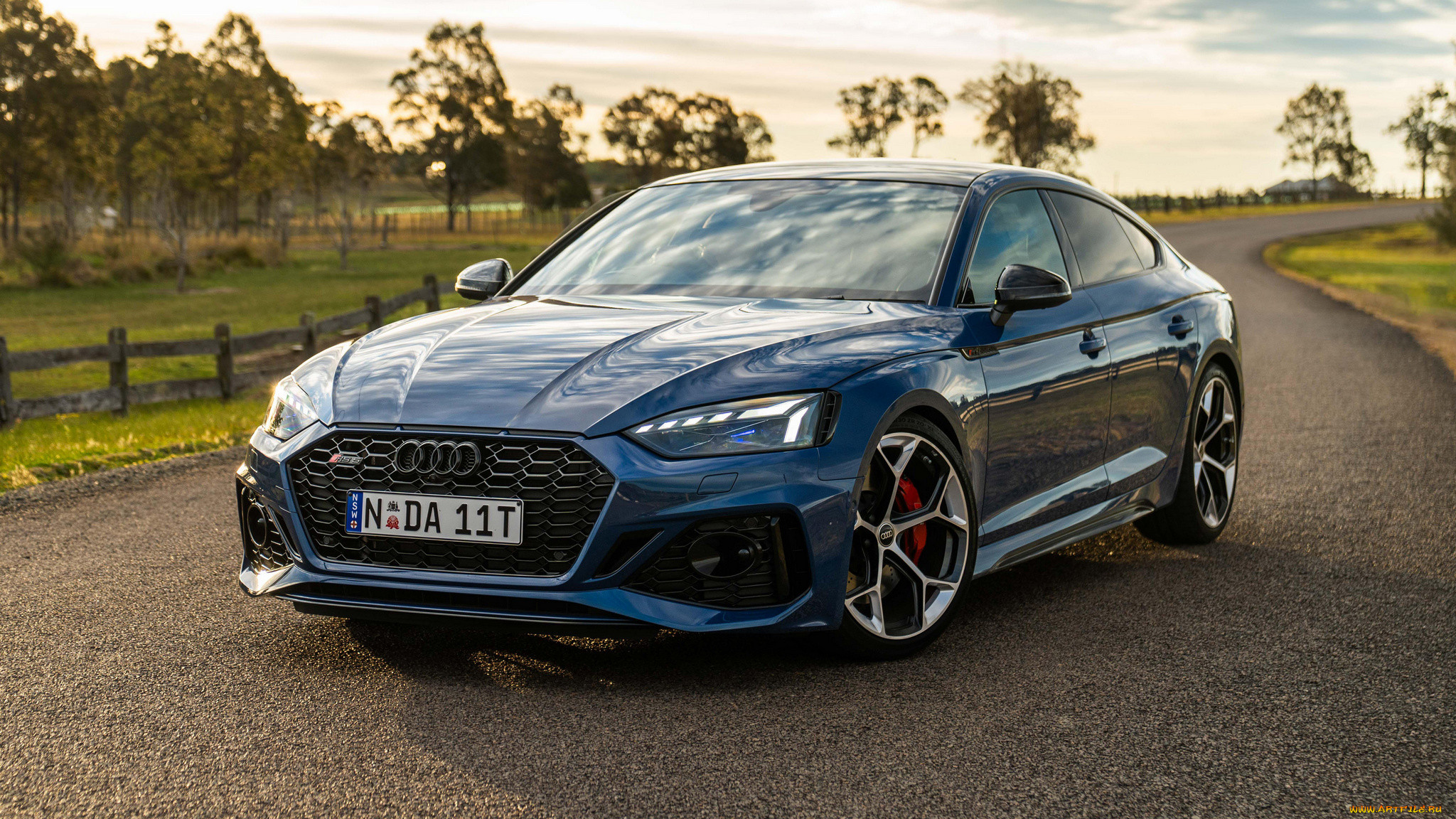 , audi, rs5, sportback, competition, plus, 2024, , , 